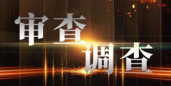 景洪市人民政府原副市长岩坦被开除党籍和公职